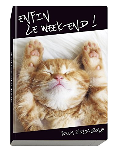 Télécharger Exacompta Funny Pets Agenda Scolaire Forum août 2017 à juillet 2018 12 x 17 cm Visuel Chat PDF