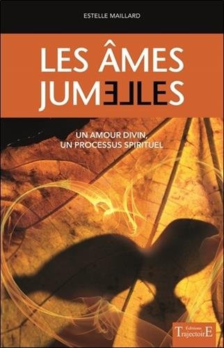 Télécharger Les âmes jumelles - Un amour divin - Un processus spirituel PDF Ebook En Ligne