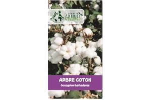 PLANETE GRAINES 5 Graines d'arbres de coton - Gossypium barbadense - coton blanc pur - tropicale - arbre