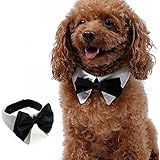septven Hohe Qualität Kragen süsse Haustier Fliege Krawatte Gentleman Look PET PET Schal Hundetuch Krawatte
