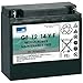 Produktbild EXIDE BLEI-AKKU CYCLIC GF-Y-F 12V 14 AH