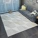 Produktbild SEEKSUNG Grey Area Teppiche, Dickes Rutschfestes Schlafzimmer Voller Teppich, Antistatisch, Keine Kugel, Keine Verblassen Teppichmatte, Haus Wohnzimmer Geometrischen Bereich Teppich,L