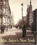 Image de Mrs Astor's New York: Money And Social Power In A Gilded Age