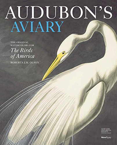 Télécharger Audubon's Aviary: The Original Watercolors for The Birds of America Gratuit