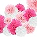 Produktbild Erosion 1 Born 18 Stück Seidenpapier Pompoms Blumen Ball Dekorpapier Kit für Geburtstag Hochzeit Baby Dusche Hauptdekorationen und Partei Dekoration-Rosa, Pink und Weiß