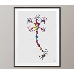 Motor neurona Watercolor