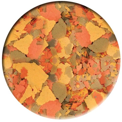 AQUALITY PREMIUM Hauptfutter-Flocken 5.000 ml (Top Premium Fischfutter Flocken mit satten 49% Rohprotein – das wertvolle Nature Hauptfutter. Aussschließlich aus natürlichen Bestandteilen tierischer und pflanzlicher Herkunft. Ohne künstliche Farbstoffe!!! Für gesunde und farbenfrohe Aquarium Zierfische) - 2