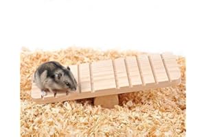 Duokon Kleines Haustier Natürliche Hölzerne Wippe Brückenübung Lustiges Spiel Spielzeug für Hamster Maus Gerbil Chinchilla Ratte