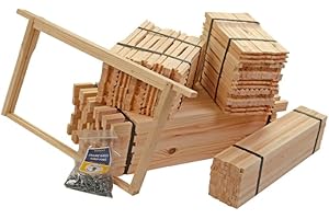 SIMON THE BEEKEEPER BS DN4 Hoffman Brood Frames & Pins 11 Pack