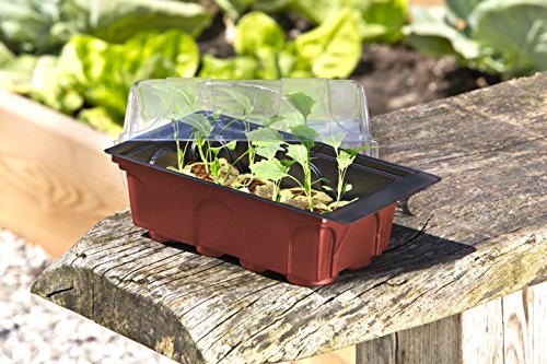 Windhager Zimmer-Gewächshaus Mini inklusiv 8 Quelltabs, terracotta / anthrazit, 11 x 19 x 6 cm, 06842 - 5