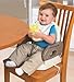 Summer Infant 2 Level Booster Seat Safari Stripe