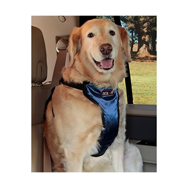 Solvit PetSafe Happy Ride Deluxe Car Harness for Dogs Adjustable, Multiple Sizes, Includes