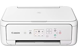 Canon PIXMA TS5151 imprimante A4 WiFi Recto Verso Automatique à écran Couleur Multifonction (imprimante Photo, Scan, Copie), Blanc