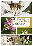 Image de Découvrir et protéger nos abeilles sauvages