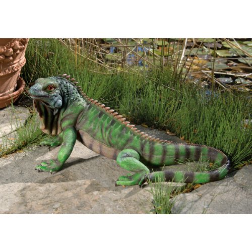 Design Toscano Leguan-Figur Iggy the Iguana - 2
