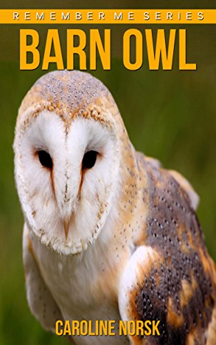 Barn Owl Amazing Photos Fun Facts Book About Barn Owls For Kids