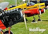 Modellflieger (Wandkalender 2019 DIN A4 quer): Faszinierende Flugzeugmodelle im Flug fotografiert. (Monatskalender, 14 Seiten ) (CALVENDO Hobbys) by 