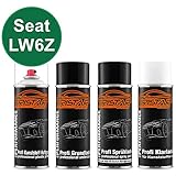 Klarlack-Sprühdose mit Weichmacher als hochglänzender aber elastischer Abschluss