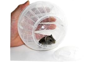Froiny Pet Toy Rongeur Souris Hamster Gerbille Rat Jogging Exercise Ball Jouets en Plastique Petite Boule Jouet