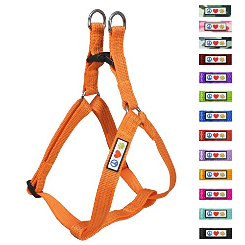 PAWTITAS Harnais pour Chien/Chiot Facile à Enfiler, Ajustable et Réfléchissant Moyen Orange