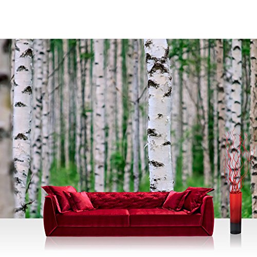 Vlies Fototapete 300x210 cm PREMIUM PLUS Wand Foto Tapete Wand Bild Vliestapete - BIRCH FOREST no.2 - Birkenwald Natur Wald Bäume Baum Forest Herbst - no. 081