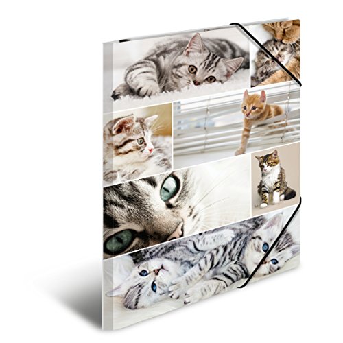 HERMA 19219 Cart n Multicolor - Carpeta Cart n Multicolor A3 reviews HERMA 19219 Cart n Multicolor - Carpeta Cart n Multicolor A3