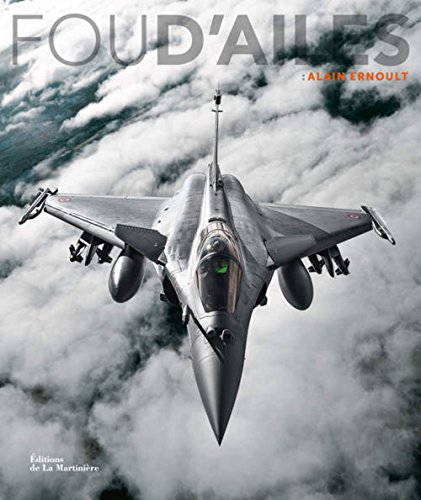 Download Fou d'ailes