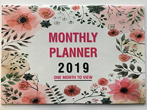 2019 one month to view monthly planner calendar wall hanging organiser 2019