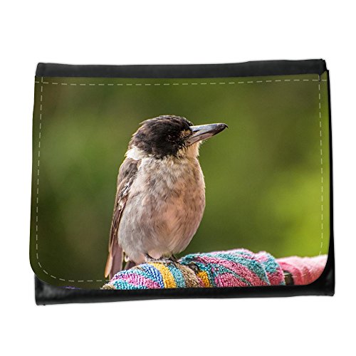 Preisvergleich Produktbild Portemonnaie Geldbörse Brieftasche / / M00314072 Butcherbird Australien Vogel fliegen / / Small Size Wallet