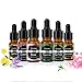 Produktbild Ätherische Öle COOSA 100% Pur und Naturrein Aromatherapie Duftöl 6 verschieden Aromen Teebaumöl, Pfefferminzöl, Zitronenöl, Lavendelöl, Süßes Orangenöl, Rosenöl für Aroma Diffusor je 10ML (10ML)