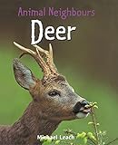 Deer Deer