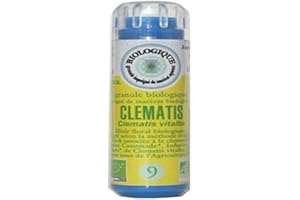 KOSMEO B Fleur de Bach N° 9 Clématite Granules sans Alcool Renforcé par Chromothérapie