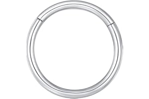 BLESSMYLOVE Nose Rings Hoop 316L Surgical Steel 20G 18G 16G Cartilage Earrings Conch Daith Helix Rook Tragus Lobe Snug Body Piercing Jewelry Stainless Steel Hinged Segment Rings Lip Rings