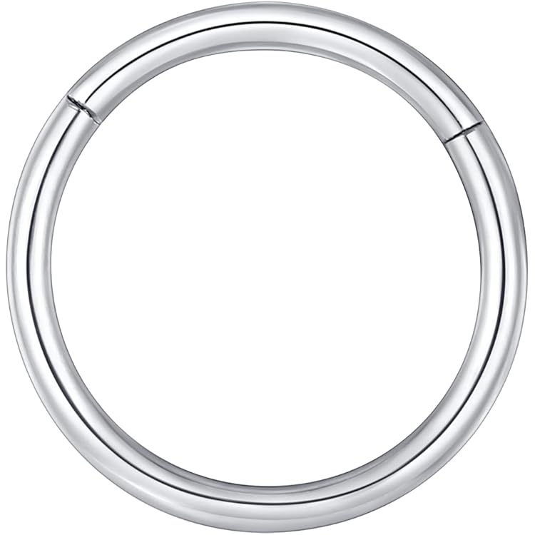 VFUN 16G 316L chirurgisch staal hangende clicker ring septum piercing voor dames heren CZ inlaid helix kraakbeen piercing oor 8-10 mm, 316L roestvrij staal