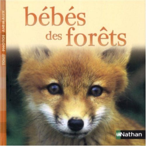 couverture de : B&eacute;b&eacute;s des for&ecirc;ts