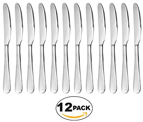 Preisvergleich Produktbild 12x Evesun 9" Steakmesser Besteckteile für Edelstahl Rostfrei poliert