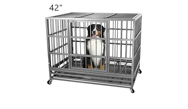itori dog crate