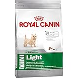 comida para perros online La gama MINI proporciona una respuesta nutricional exclusiva a las necesidades de los perros pequeños, teniendo en cuenta no solo su tamaño (1-10kg de peso en edad adulta)