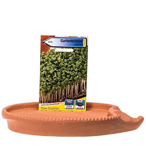 Römertopf Kresse Kräutertier Kresseigel ca. 24 x 14 cm - 3
