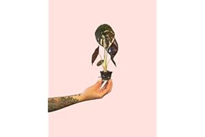 PUR PLANT Alocasia Cuprea | Planta Natural Tropical De Interior Resistente | Hojas Metálicas Con Tonos Cobrizos y Púrpuras | Exótica, Elegante y Purificadora | Maceta De Ø5 cm