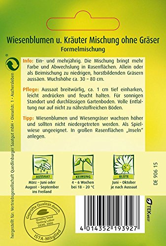 Blumenwiese – Wiesenblumen u. Kräuter Mischung ohne Gräser von Quedlinburger Saatgut - 2