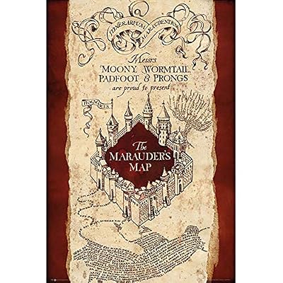 HARRY POTTER Poster, Bois Dense, Marauder's Map, 61 x 91,5 cm