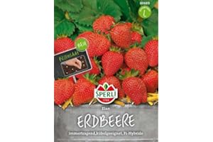 Sperli Erdbeerensamen Elan, F1, Pillensaat 80689 - Immertragend & aromatisch - Kübelgeeigent - Inhhalt für 7 Pflanzen - Obstsamen, Samen Obst, Pillensaat