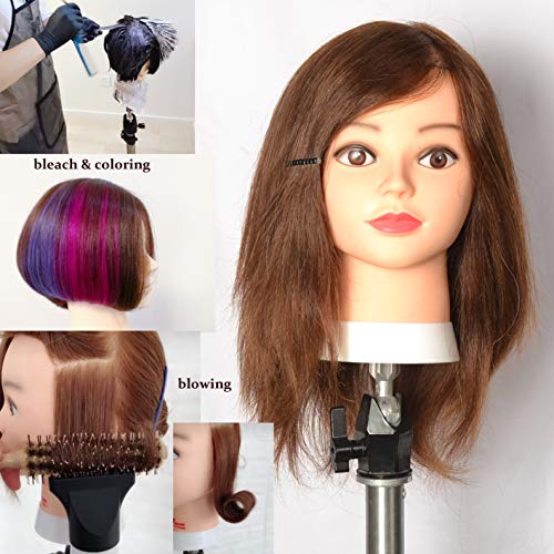 Cabeza Maniquí 100% Pelo Natural Peluqueria practicas Formación Muñeca de la Cosmetología