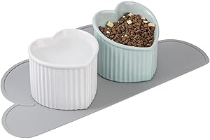 HCHLQLZ Zestaw misek na wodę dla kotów - podniesione ceramiczne miski do karmienia kotów z matą antypoślizgową - podwyższone naczynie dla kota przeciw wymiotom, przyjazna dla wąsów szeroka miska dla kota,