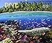 Dive 2019 by 
