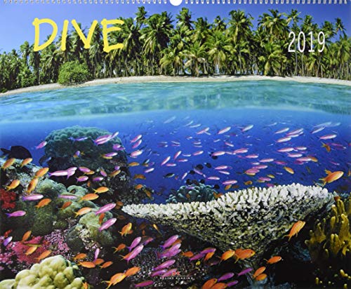 Dive 2019