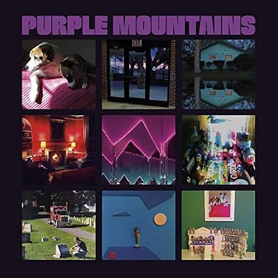 Drag City Purple Mountains
