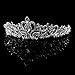 Wedding Bridal/Bridesmaid Floral Rhinestone Tiara Crown 11.42"