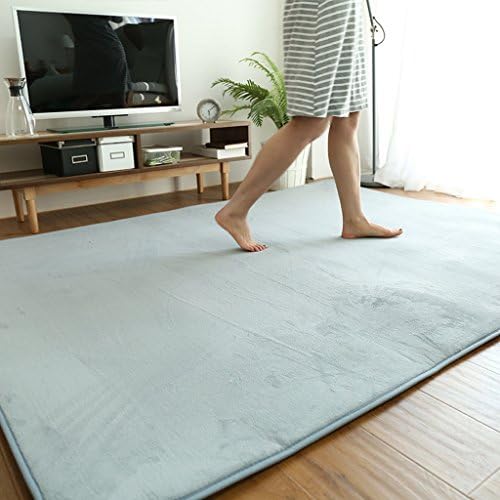 YLMDC Home coral velvet cashmere pure color carpet, restaurant home bedroom children room short bed blanket rug rectangular carpet (silver gray)